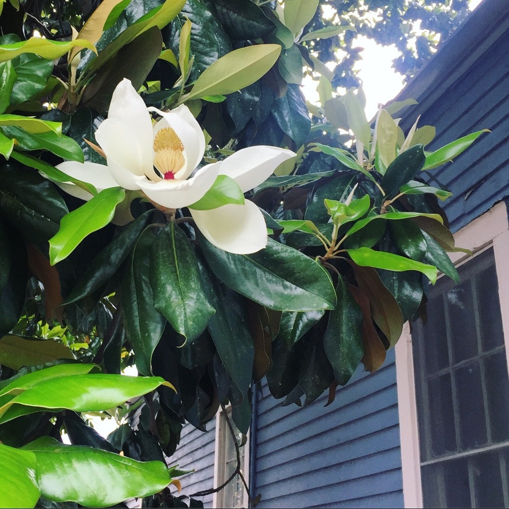 Meet your Posher, Nicolle