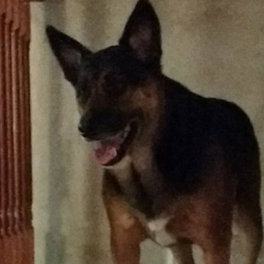 Meet your Posher, Fernando