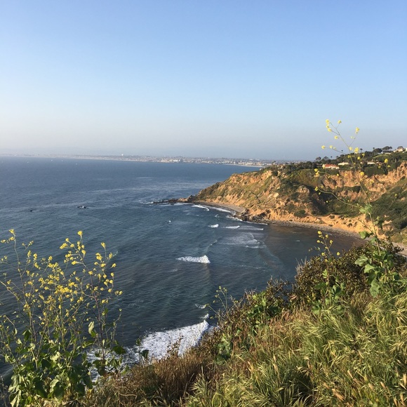 Meet your Posher, Iliana - Picture 1 of 1