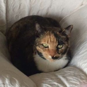 Meet your Posher, Katy