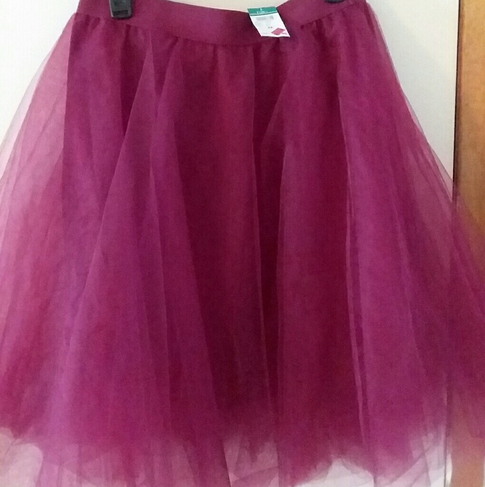 Tulle skirt