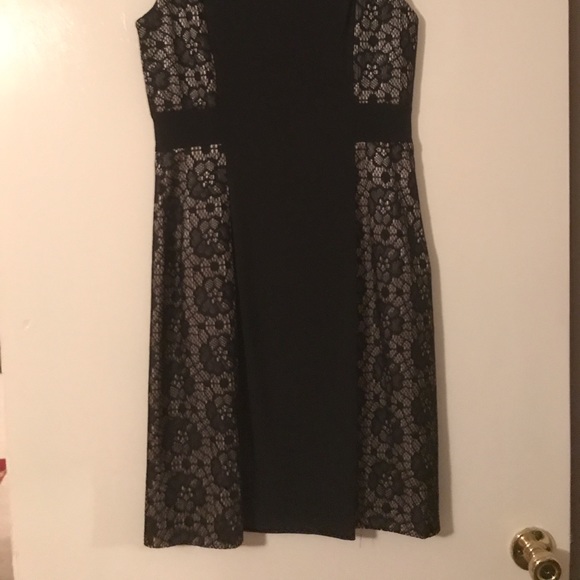 Black and Tan Lace Bodycon Dress - Picture 4 of 4