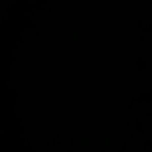 Meet your Posher, Patti