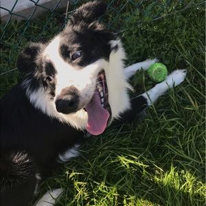 Meet your Posher, Jared