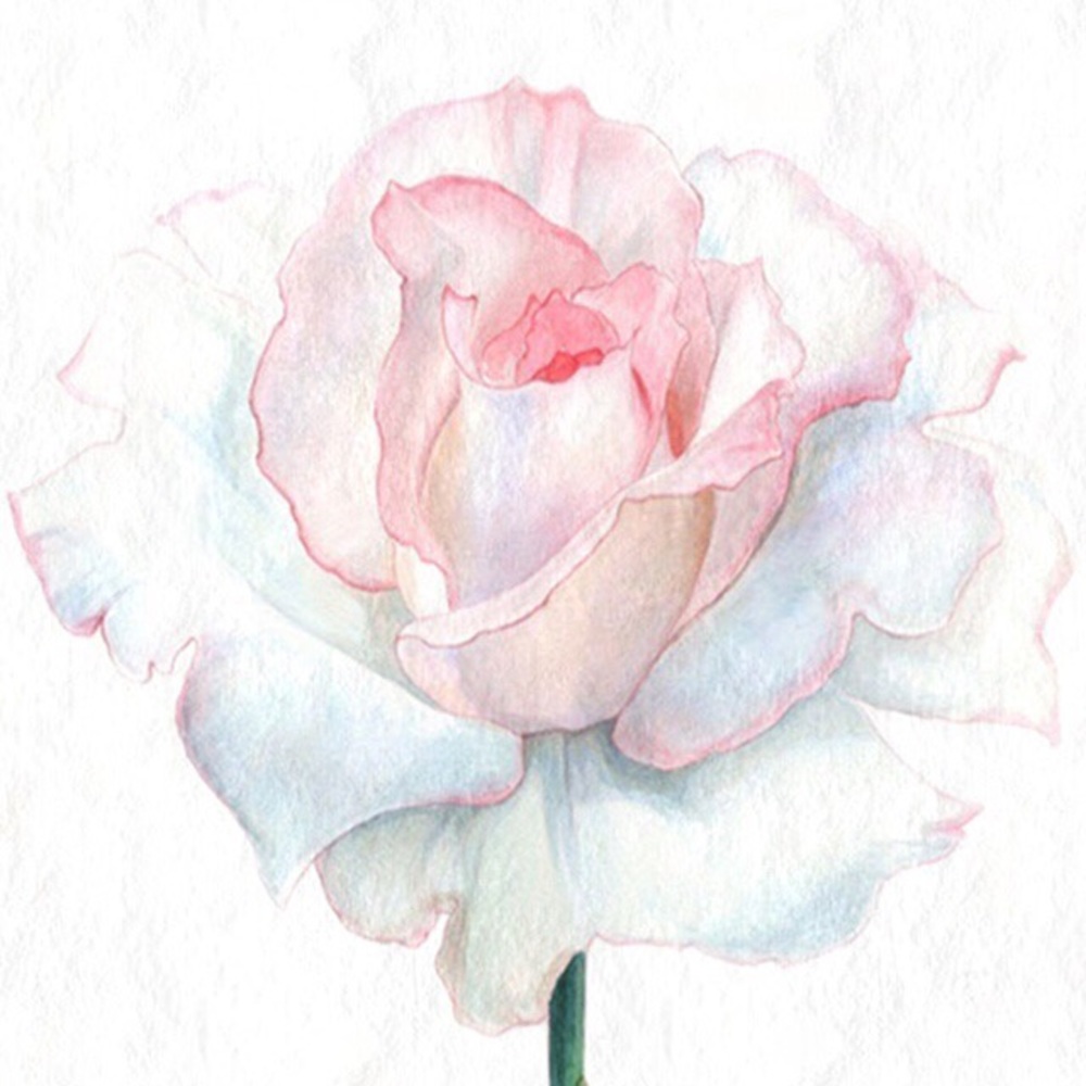 Meet your Posher, Connie