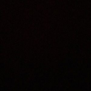 Meet your Posher, Franklin