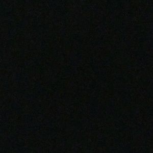 Meet your Posher, Delilah