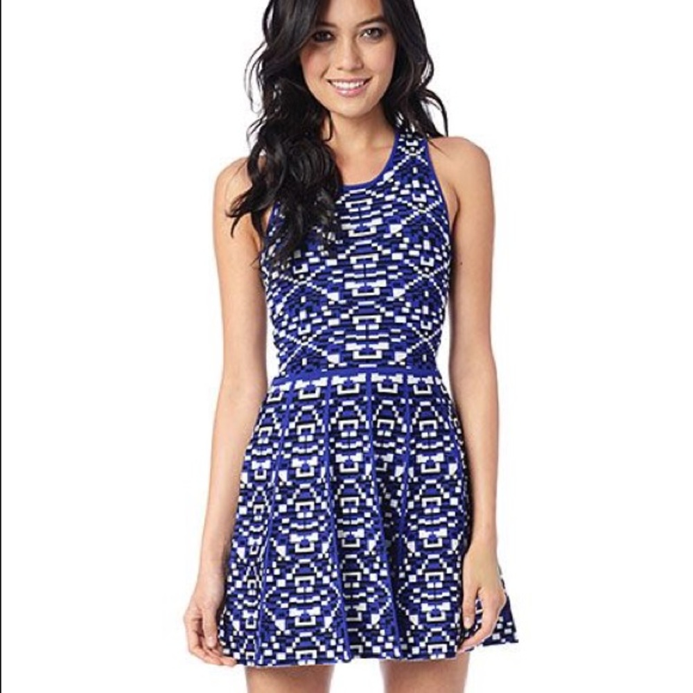 PARKER skater dress