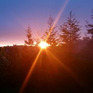 Meet your Posher, Deb