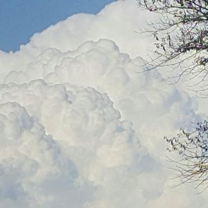 Meet your Posher, Bernadette