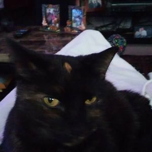 Meet your Posher, Ruth