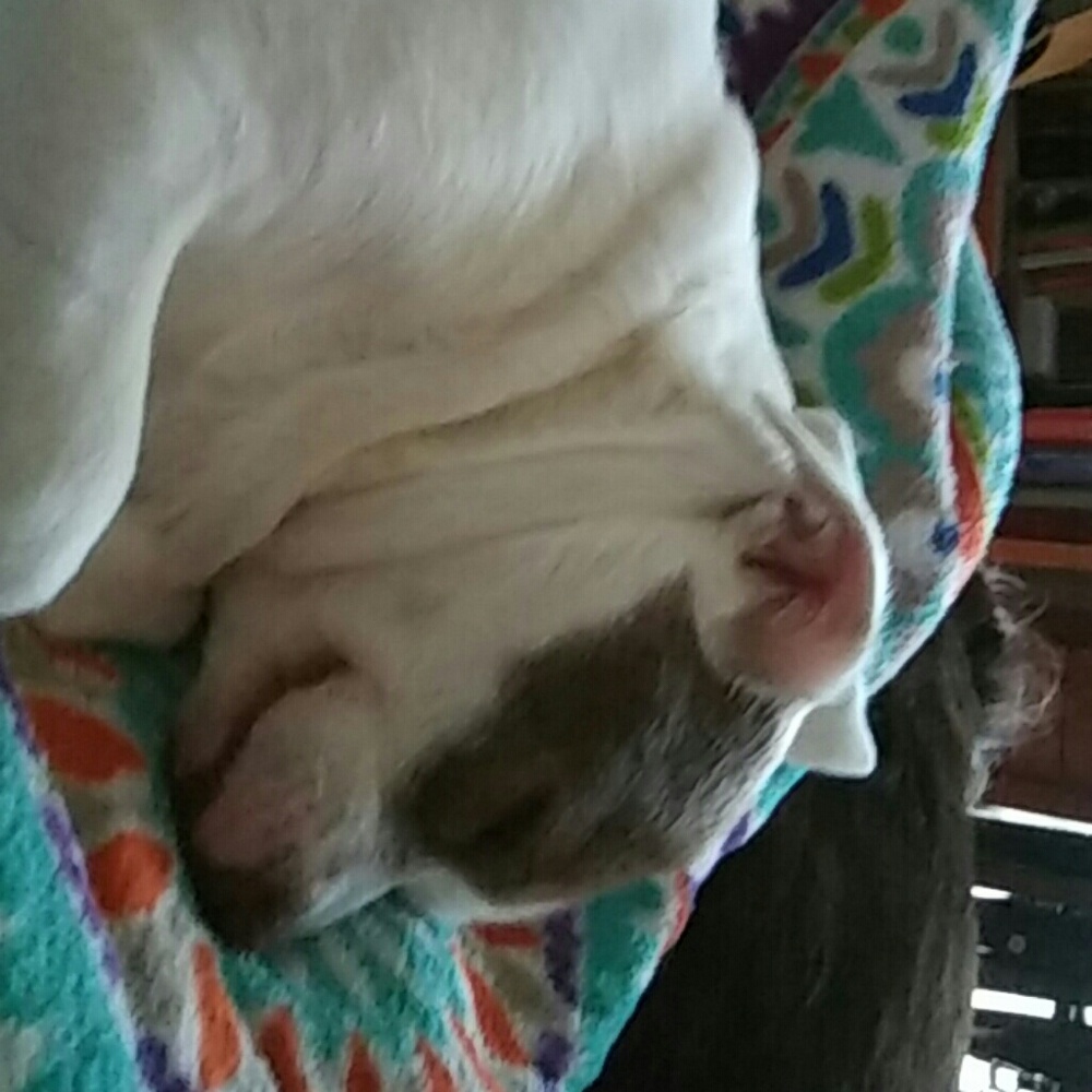 Meet your Posher, Mary