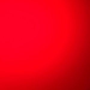 Meet your Posher, Joey