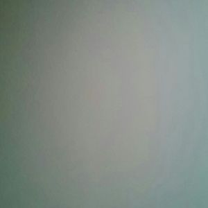 Meet your Posher, Gladys