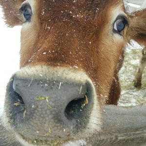 Meet your Posher, Tammy