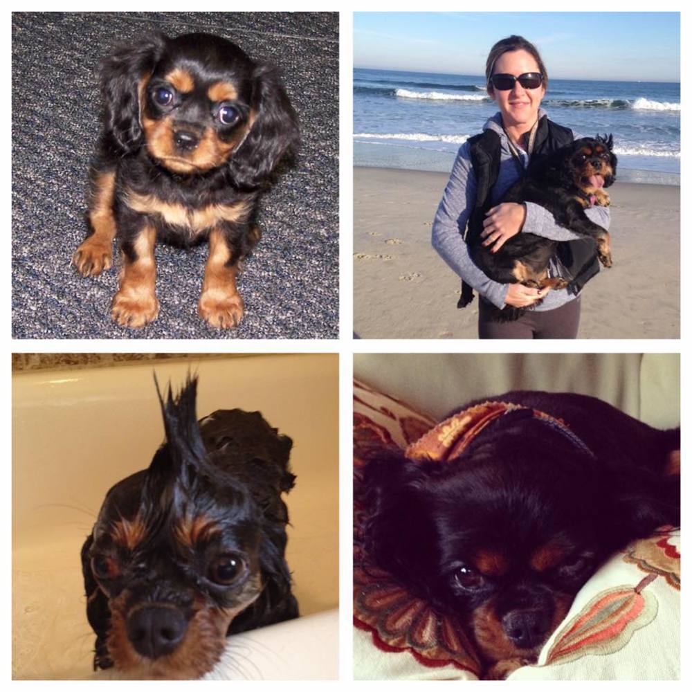 Meet your Posher, Jamie