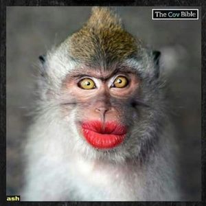 Meet your Posher, Mitzi