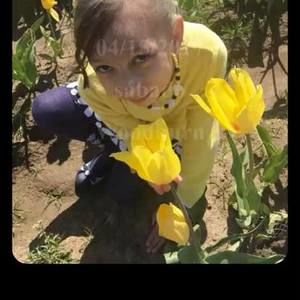 Meet your Posher, Yolanda