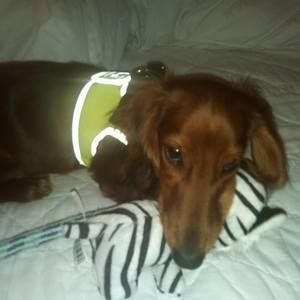 Meet your Posher, Lynn