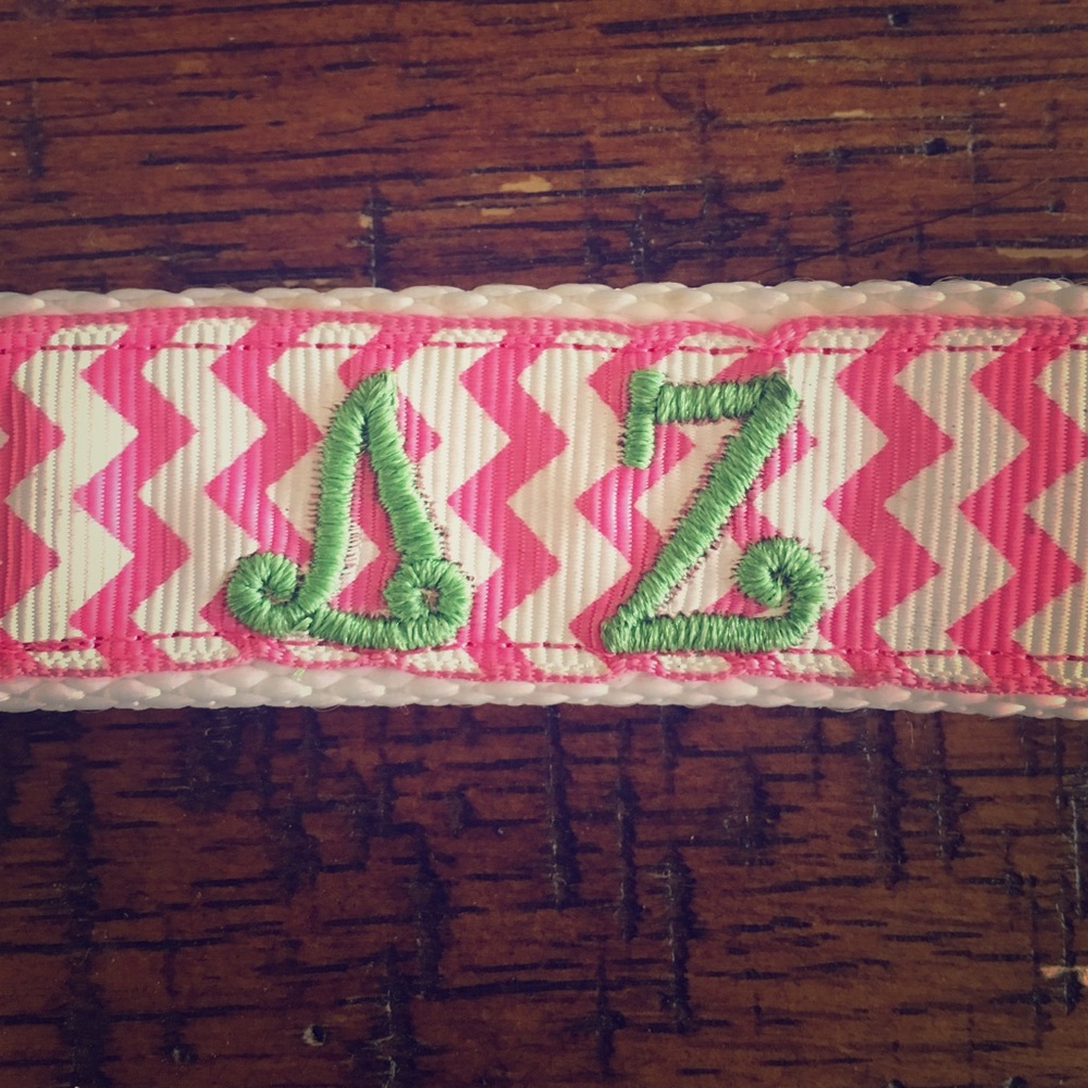 Delta Zeta keychain, never used