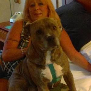 Meet your Posher, Robin