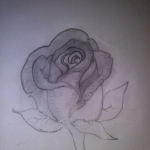 Meet your Posher, Shanequa