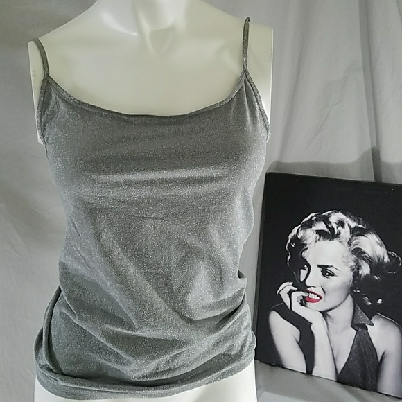Ann Taylor Tops - New w/tags ANN TAYLOR Silver Metallic Top