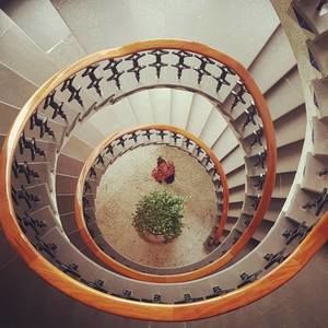 Meet your Posher, Deyanira