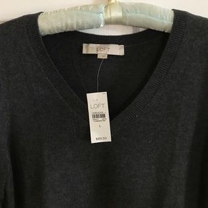 LOFT Ann Taylor sweater dress!