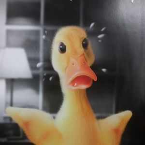 Meet your Posher, Auti