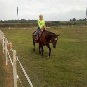 Meet your Posher, Donna