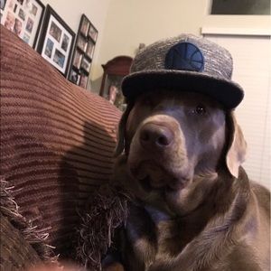 Meet your Posher, Hunter