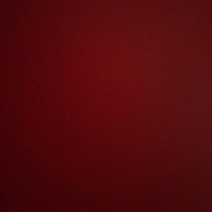 Meet your Posher, Akira