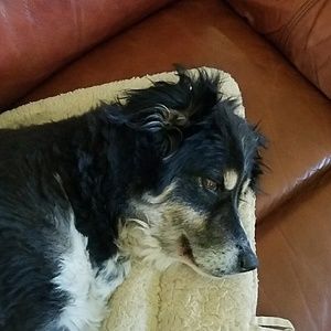 Meet your Posher, Michele