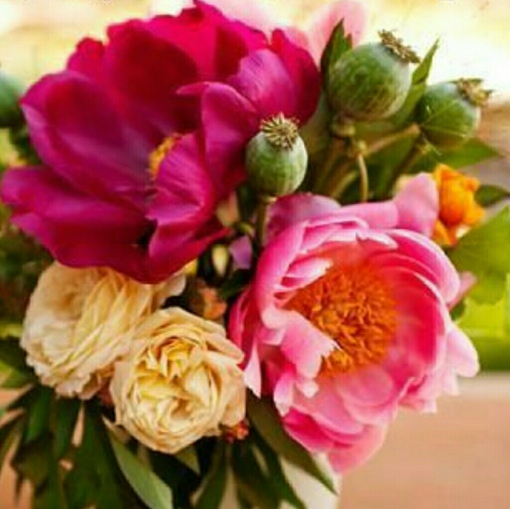 Meet your Posher, Sara