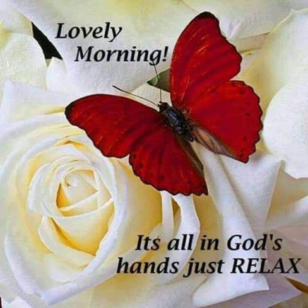 Meet your Posher, Ingrid