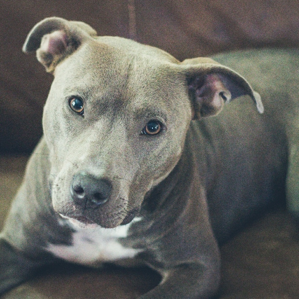 Meet your Posher, Jenny