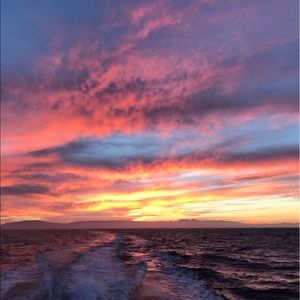 Meet your Posher, Ali