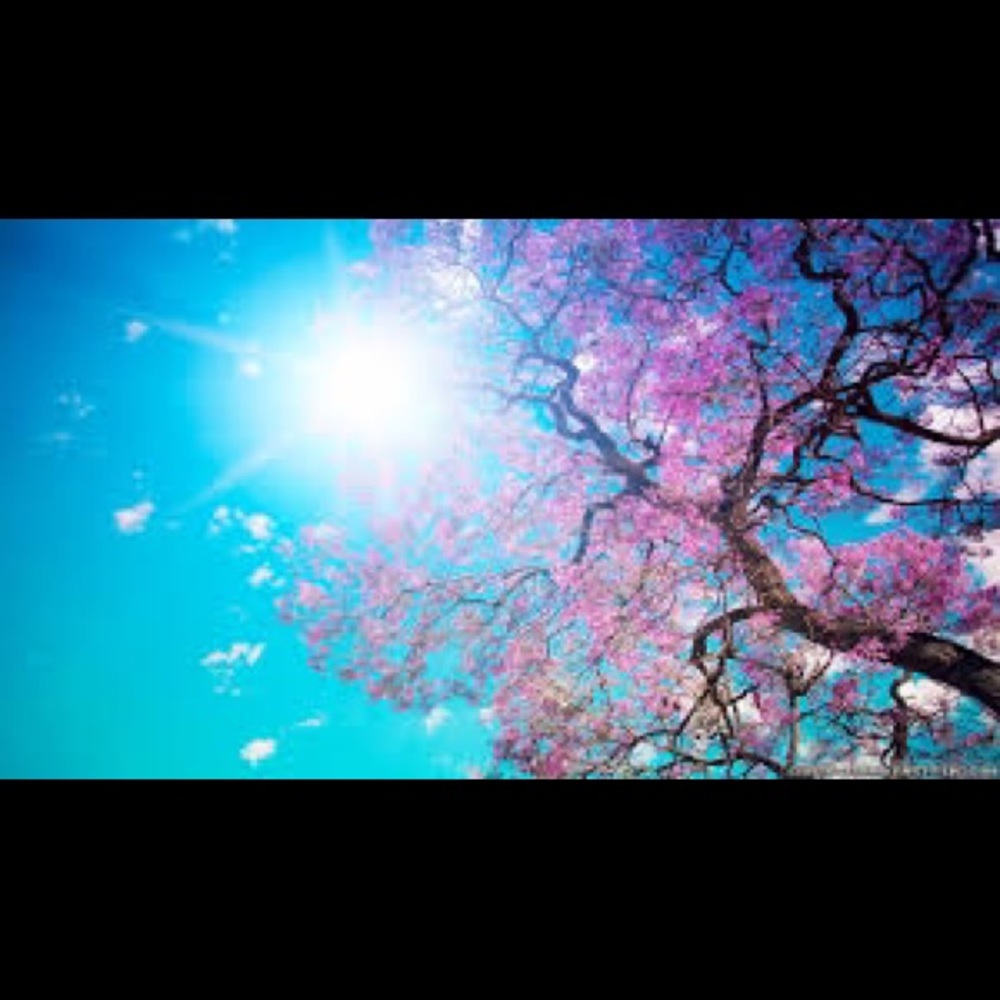 Meet your Posher, Yesica