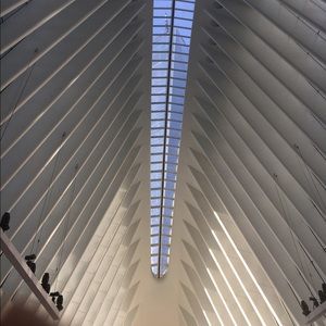 Meet your Posher, Ivy