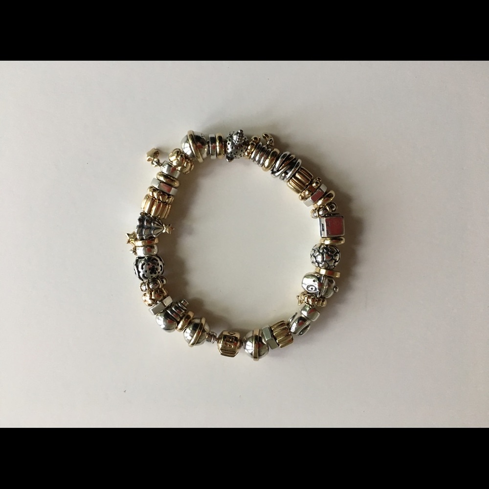 Pandora Vintage/retired Charm Bracelet