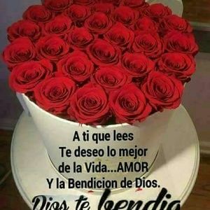 Meet your Posher, Luz