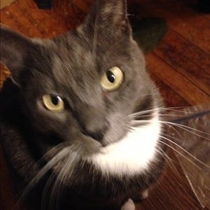 Meet your Posher, Beverly