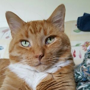 Meet your Posher, Debi