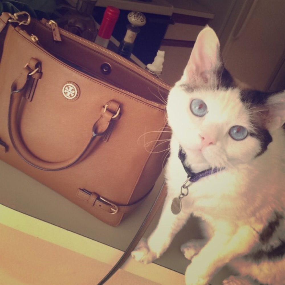 Authentic Tory Burch SML Robinson double zip Tote