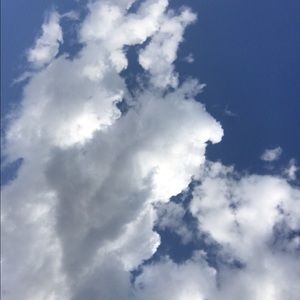 Meet your Posher, Cody