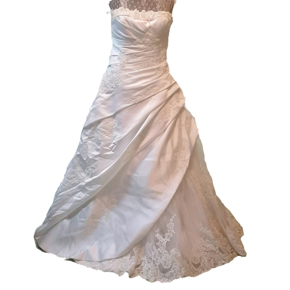 Bride PRONOVIAS BARCELONA wedding dress lace bustle