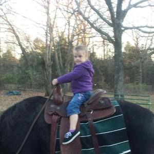 Meet your Posher, Ted