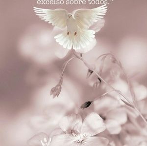 Meet your Posher, Lucilda