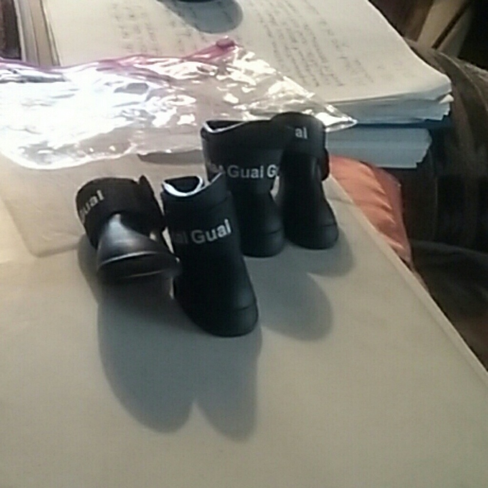 Dog rainboots